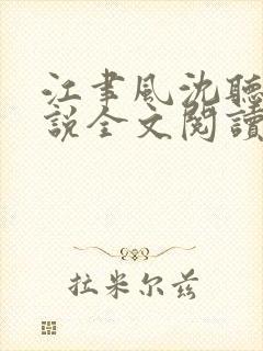 江聿风沈听晚小说全文阅读