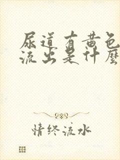 尿道有黄色粘液流出是什么原因封面