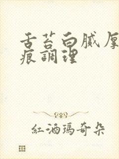 舌苔白腻厚有齿痕调理