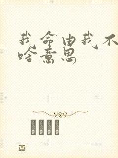 我命由我不由天啥意思封面