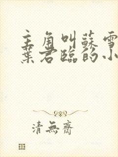 主角叫苏雪儿和叶君临的小说