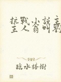 抗战小说主角叫主人翁叫刘杨的小说刘阳的