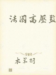 法国高压监狱封面