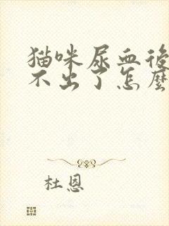 猫咪尿血后就尿不出了怎么回事