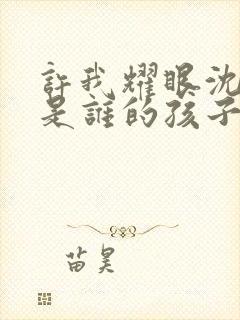 许我耀眼沈皓宸是谁的孩子