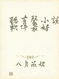 听有声小说哪个软件最好封面