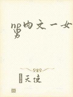 np肉文一女多男