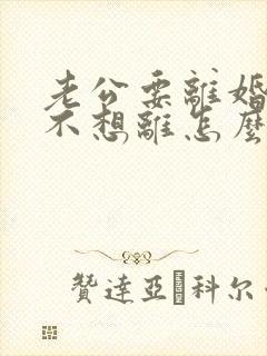 老公要离婚,我不想离怎么办封面