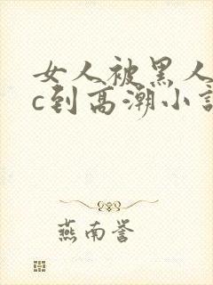 女人被黑人狂躁c到高潮小说