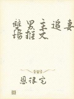 双男主追妻火葬场推文