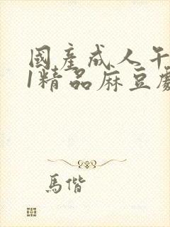 国产成人午夜91精品麻豆剧场