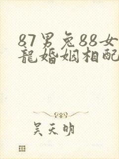 87男兔88女龙婚姻相配吗