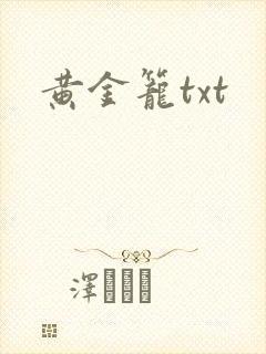 黄金笼txt