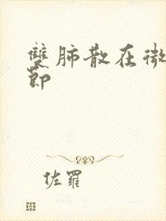 双肺散在微小结节封面