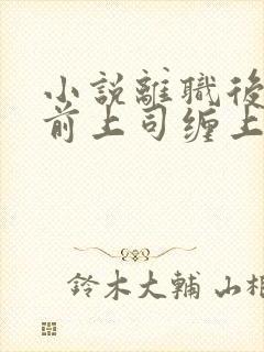 小说离职后我被前上司缠上了在线阅读