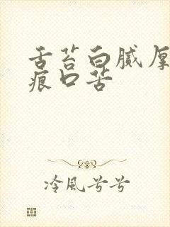 舌苔白腻厚有齿痕口苦