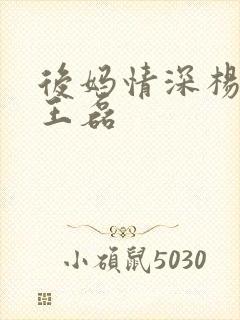 后妈情深杨晓芬王磊