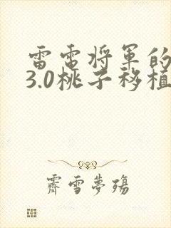 雷电将军的惩罚3.0桃子移植