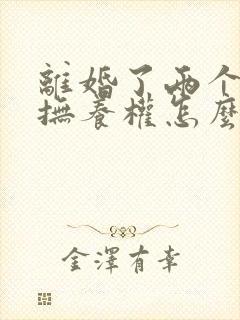 离婚了两个小孩抚养权怎么判封面