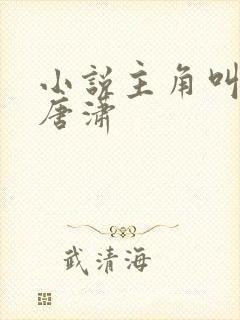 小说主角叫王东唐潇