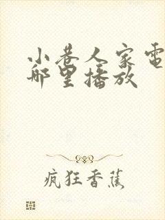 小巷人家电视剧哪里播放