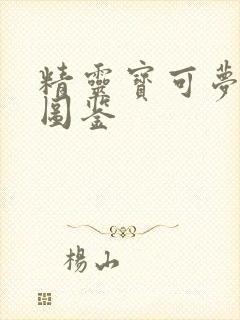 精灵宝可梦闪光图鉴