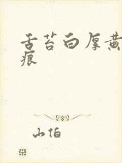 舌苔白厚黄有齿痕