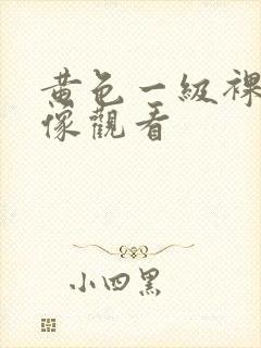 黄色一级裸体录像观看封面