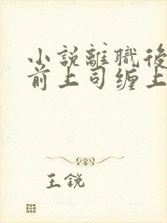 小说离职后我被前上司缠上了在线阅读