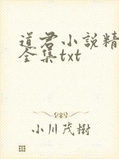 道君小说精校版全集txt封面