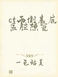 ct两侧基底节区腔隙灶封面