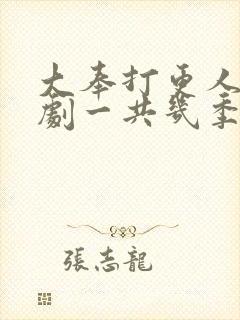 大奉打更人电视剧一共几季封面