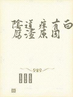 阴道痒有白色豆腐渣原因