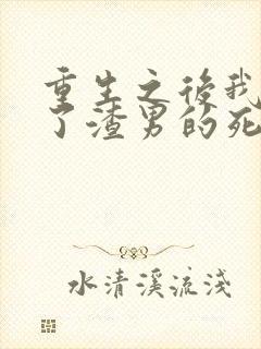 重生之后我嫁给了渣男的死对头