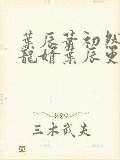 叶辰萧初然上门龙婿叶辰更新