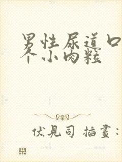 男性尿道口长两个小肉粒