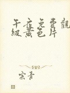 午夜免费观看一级黄色片