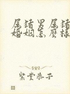 属猪男属猪女的婚姻怎么样