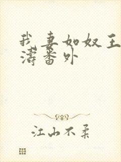 我妻如奴王琳和涛番外封面