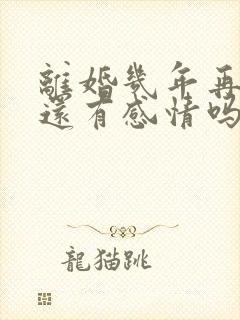 离婚几年再复婚还有感情吗