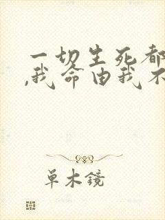 一切生死都看淡,我命由我不由天