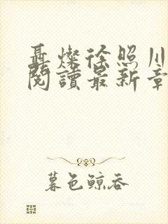 聂灿徐照川免费阅读最新章节封面