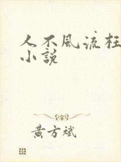 人不风流枉少年小说