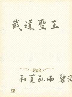 武道圣王