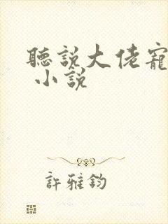 听说大佬宠夫狂 小说