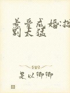 惹爱成婚:总裁别太猛