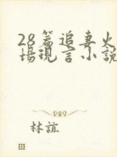 28篇追妻火葬场现言小说