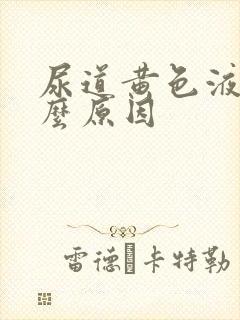 尿道黄色液体什么原因封面