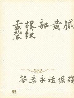 舌根部黄腻苔有裂纹