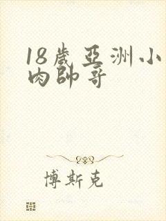 18岁亚洲小鲜肉帅哥